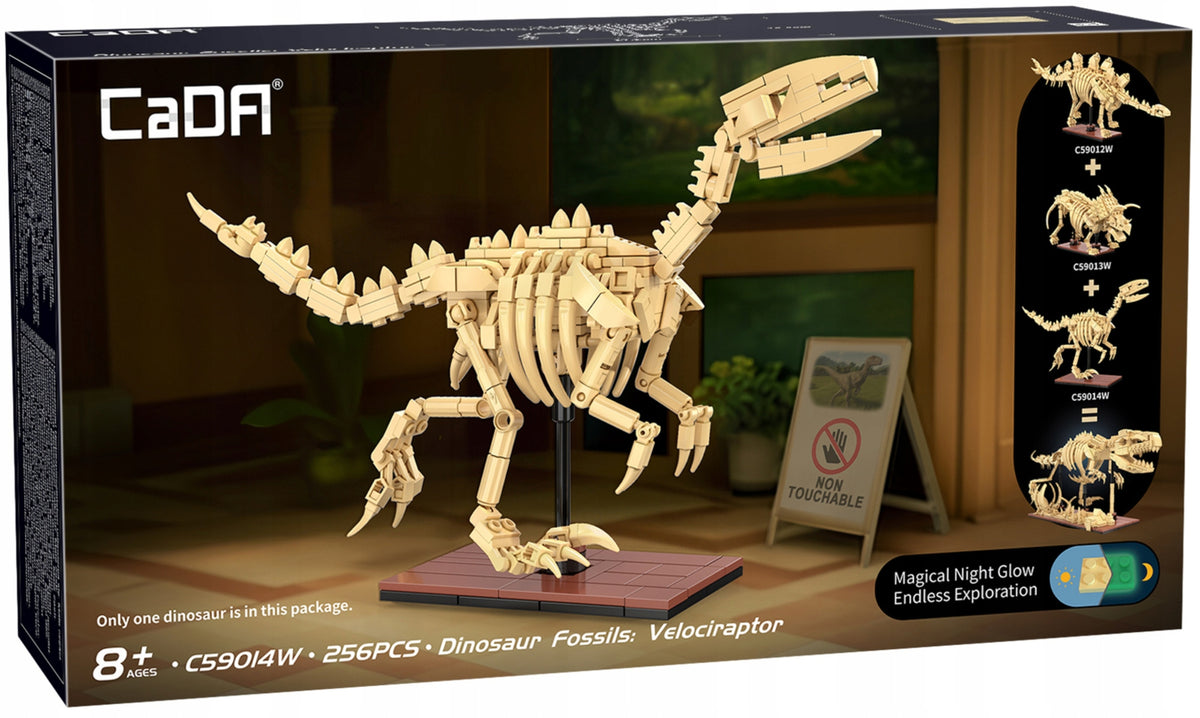 CaDA Konstrukcinių Kaladėlių Rinkinys – Velociraptoro Skeletas, Dinozaurų Fosilijos, 256 Detalės