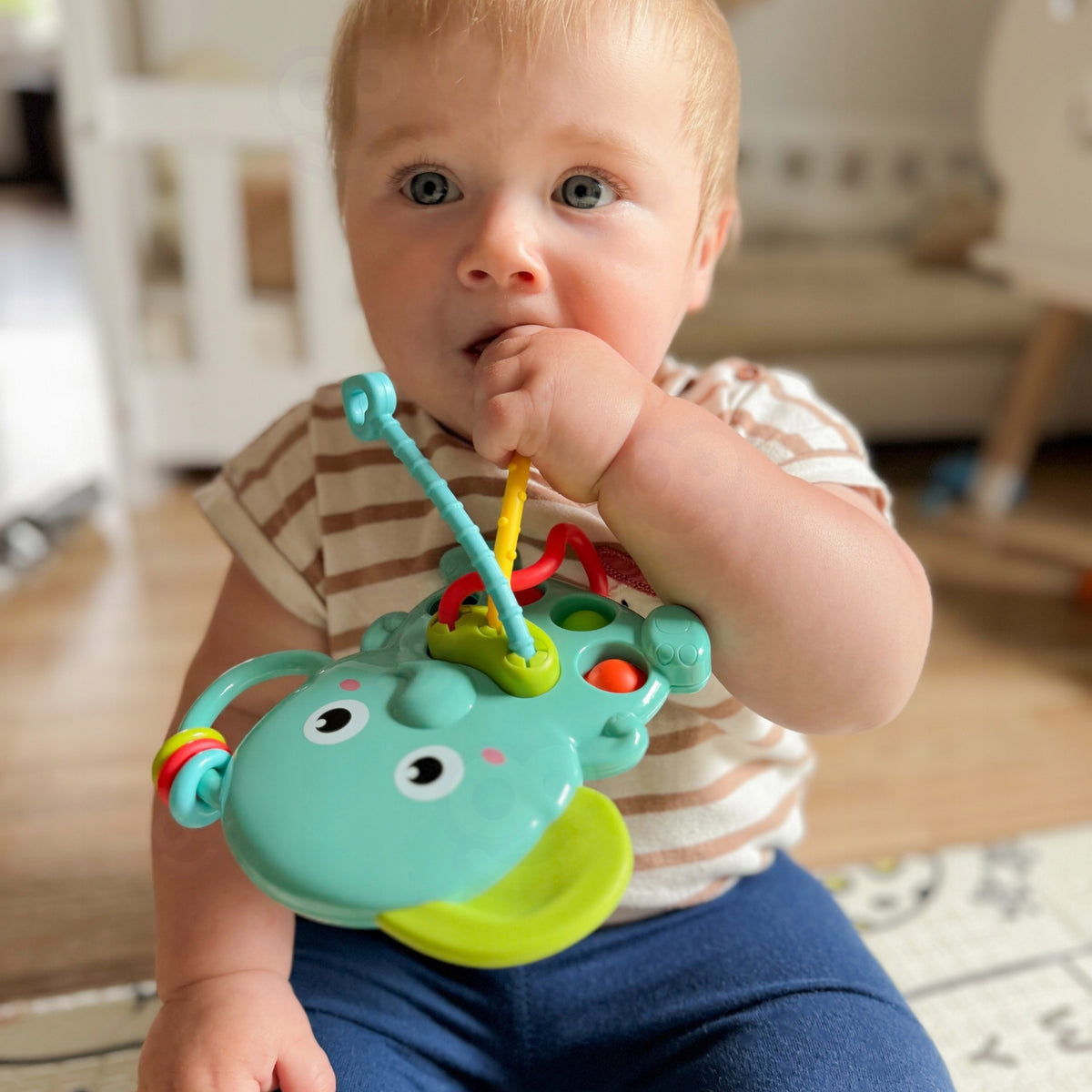 Sensorinis Kramtukas Dramblys Montessori 4in1