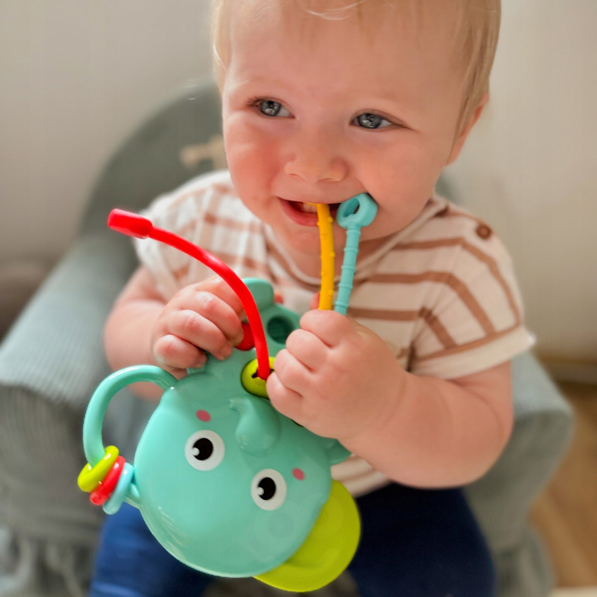Sensorinis Kramtukas Dramblys Montessori 4in1