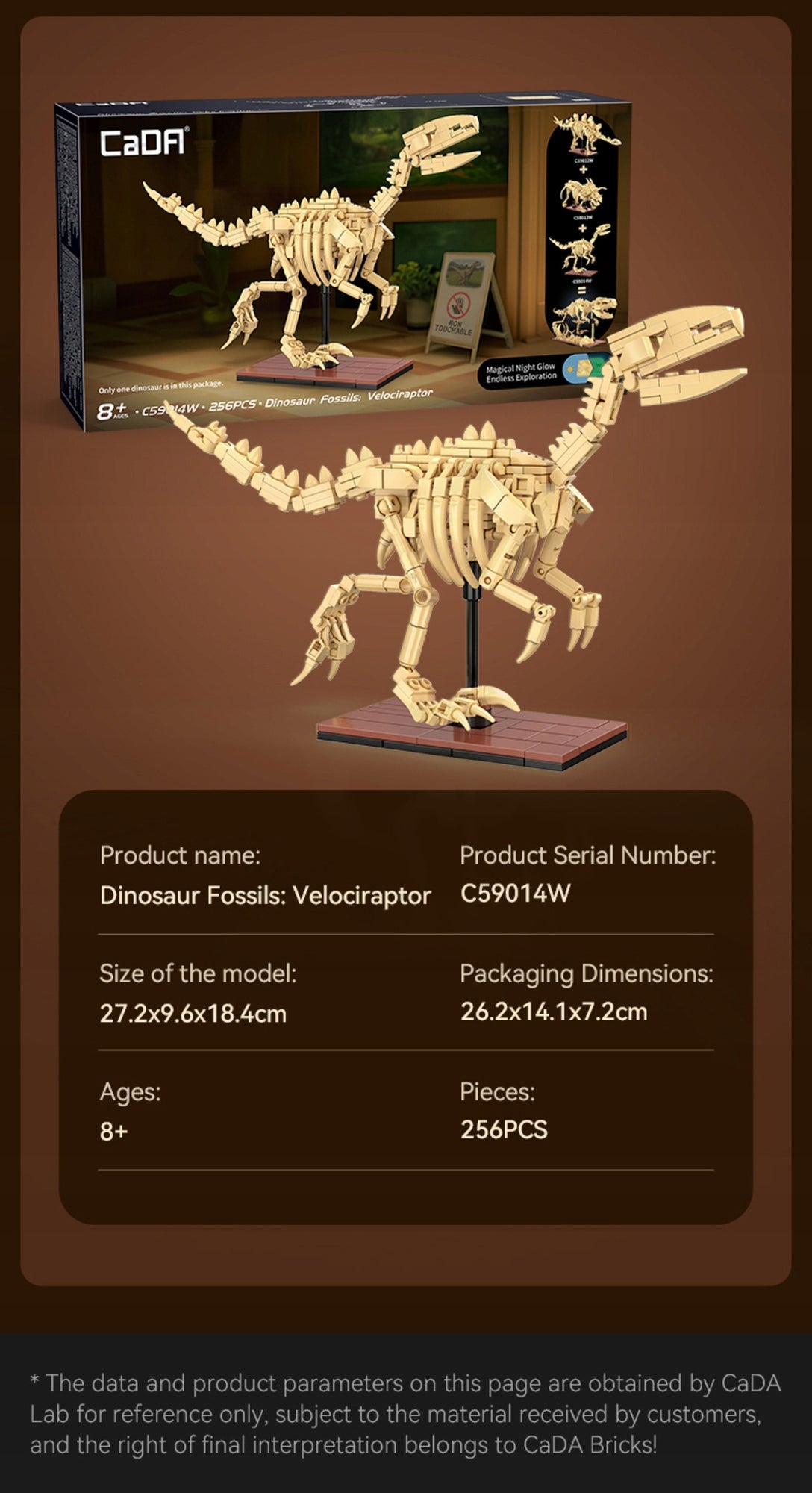 CaDA Konstrukcinių Kaladėlių Rinkinys – Velociraptoro Skeletas, Dinozaurų Fosilijos, 256 Detalės