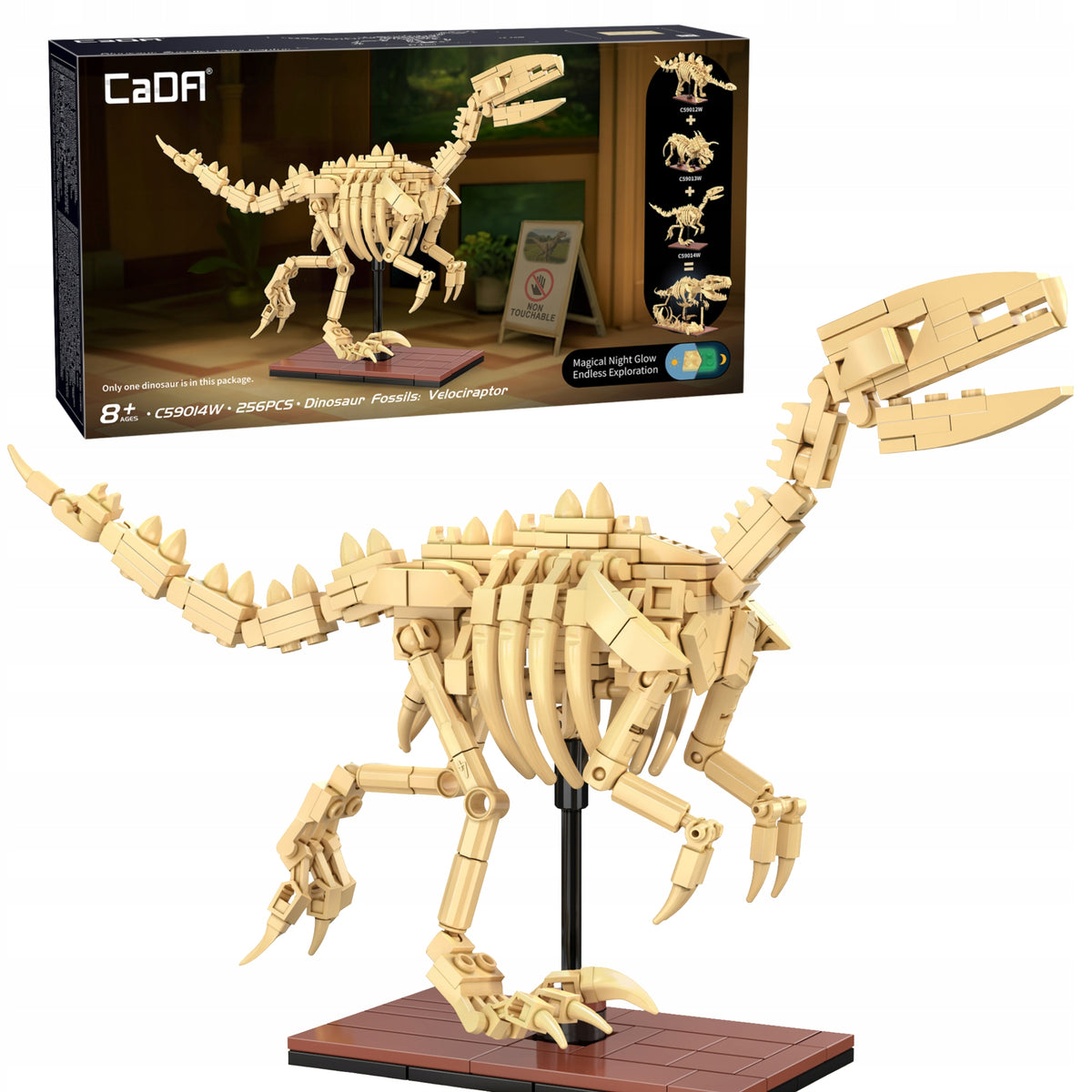 CaDA Konstrukcinių Kaladėlių Rinkinys – Velociraptoro Skeletas, Dinozaurų Fosilijos, 256 Detalės