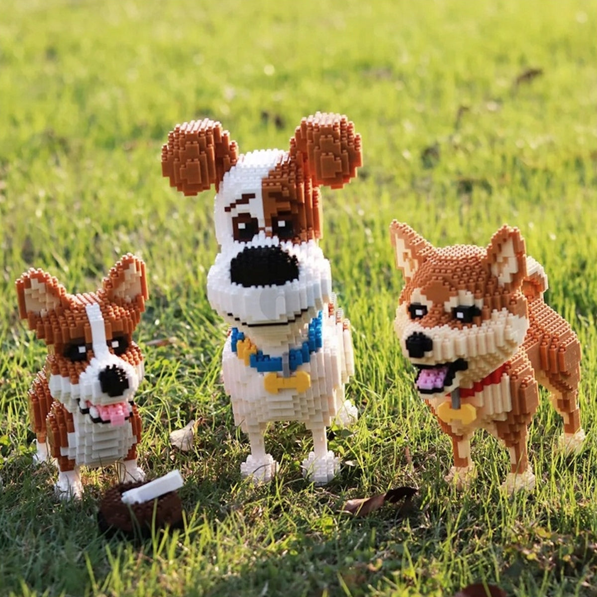 Konstruktorius Balody – Jack Russell Terjeras, 2100 Detalių 3D Modelis