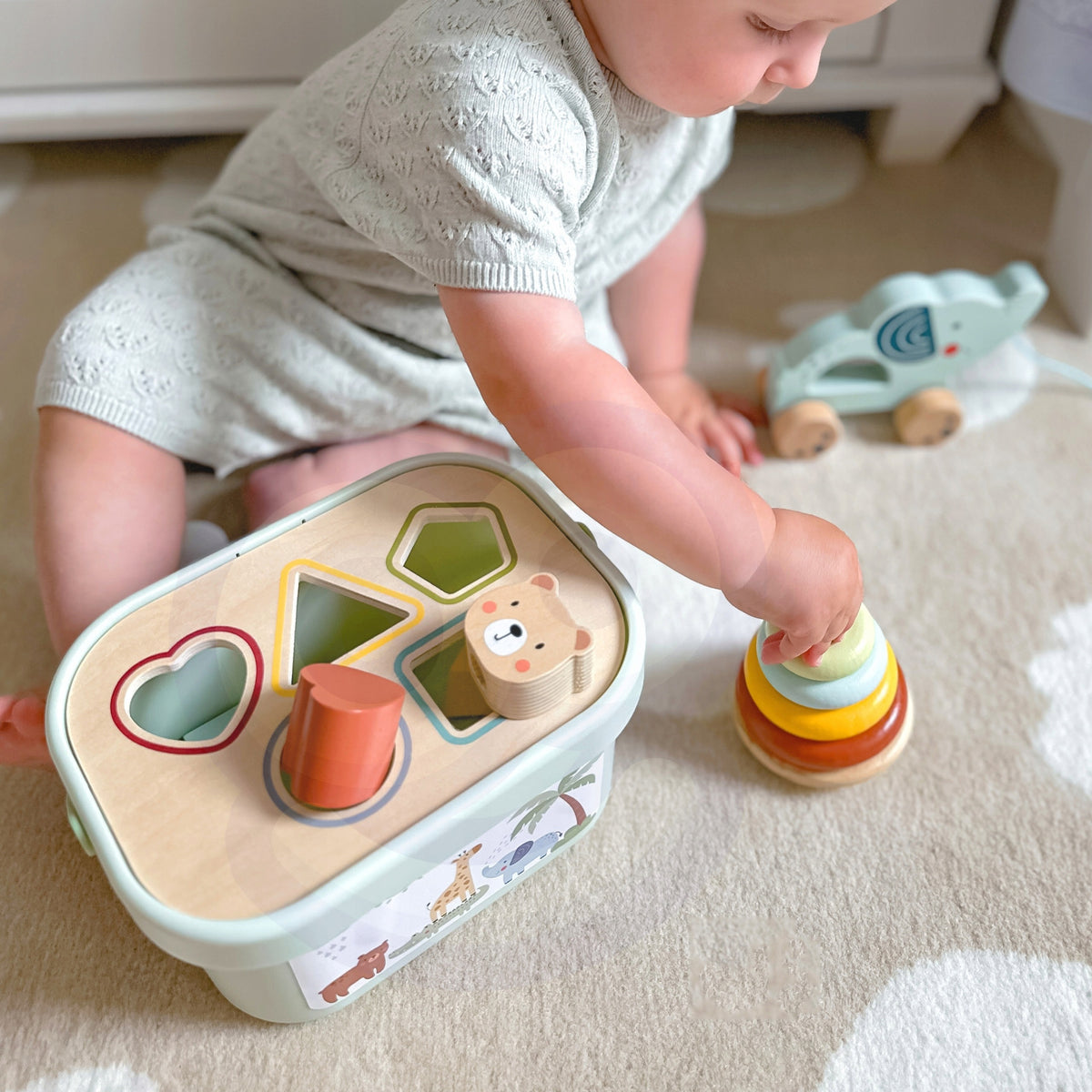Edukacinis Rinkinys 3in1 – Sorterio Dėžutė, Piramidė Ir Dramblys