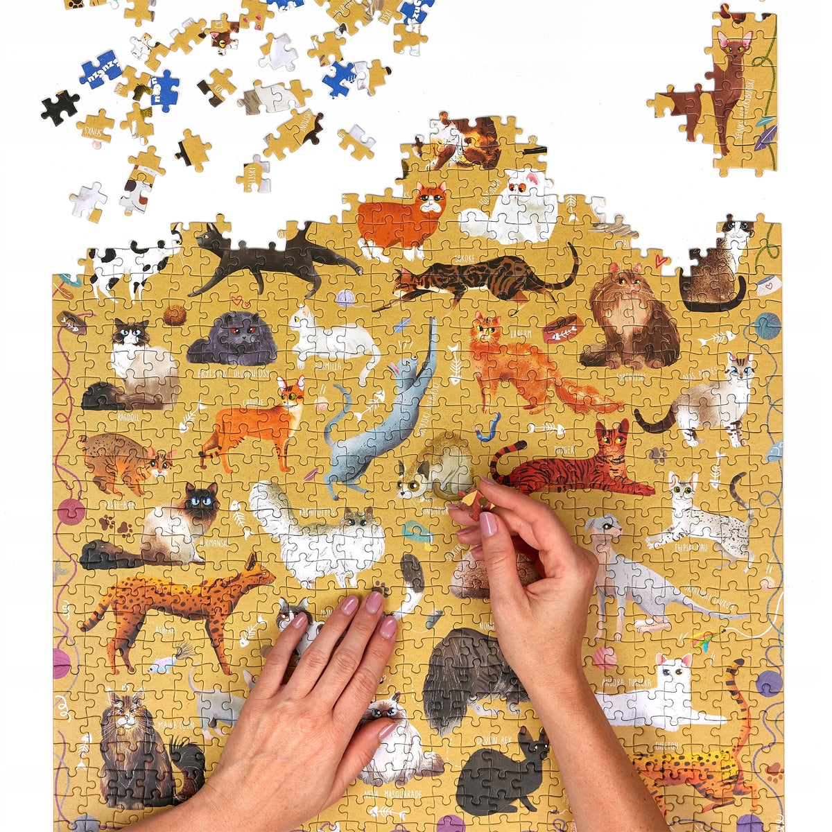 Puzzlove CzuCzu Katės – 1000 Elementų Dėlionė