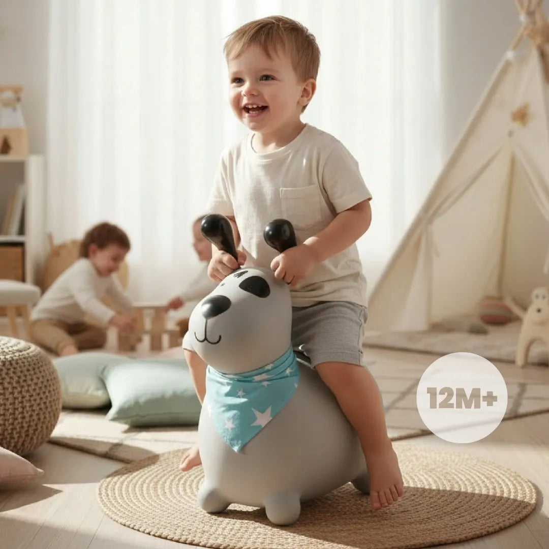 Guminis šokliukas vaikams su pompa REKSIO