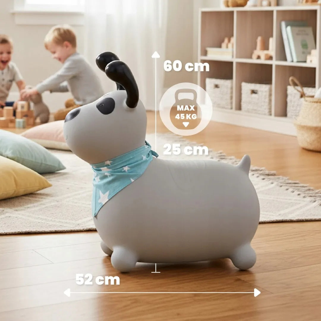 Guminis šokliukas vaikams su pompa REKSIO