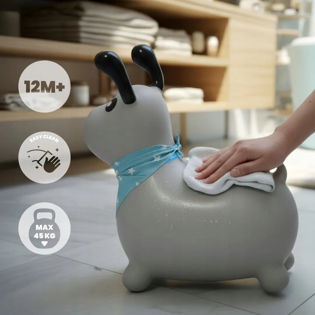 Guminis šokliukas vaikams su pompa REKSIO