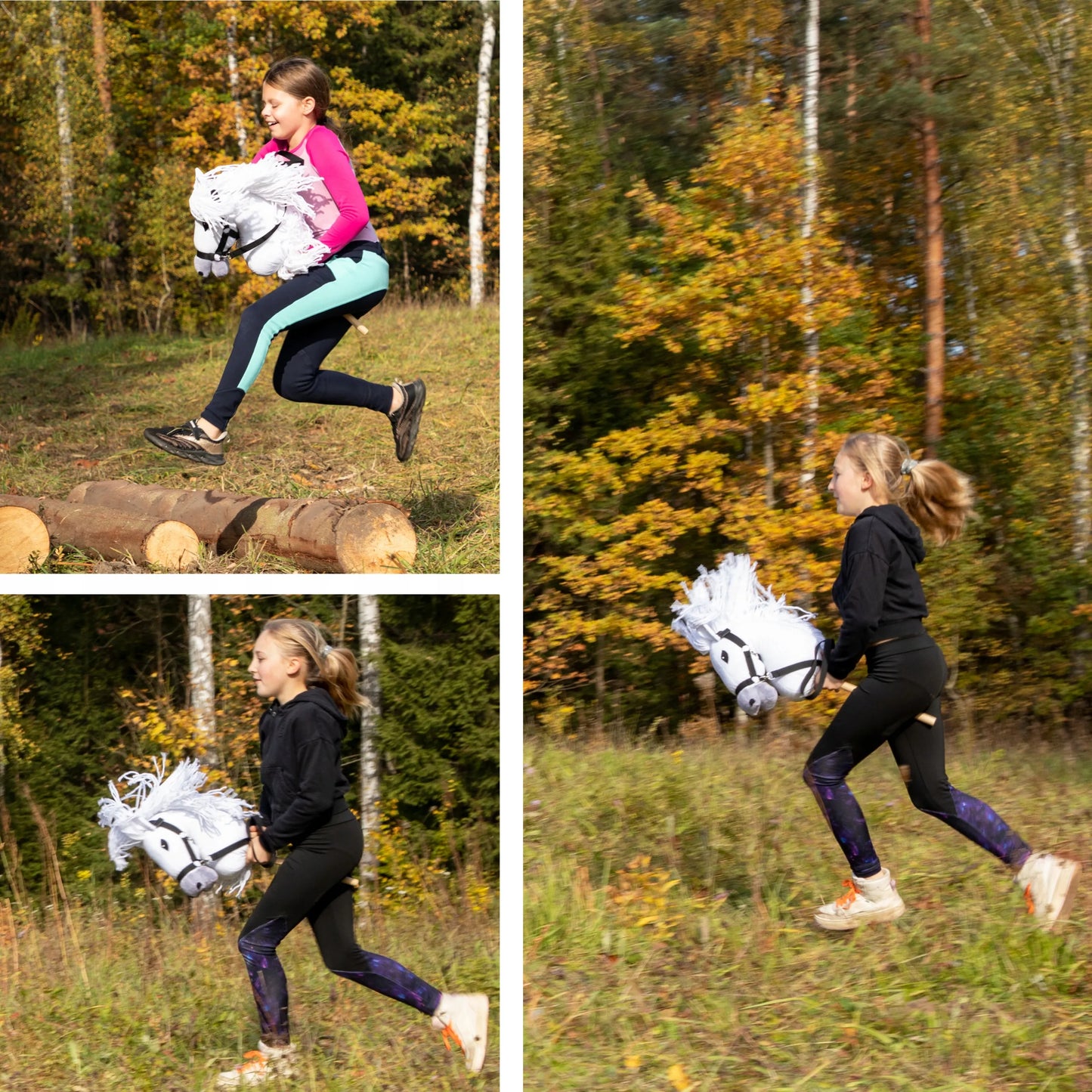 Pilkas A3 – Lenkiškas Hobby Horse – Arkliukas ant lazdos – Skippi