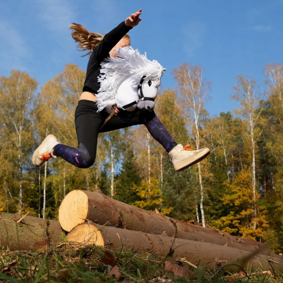Pilkas A3 – lenkiškas „Hobby Horse“ – arkliukas ant lazdos – Skippi