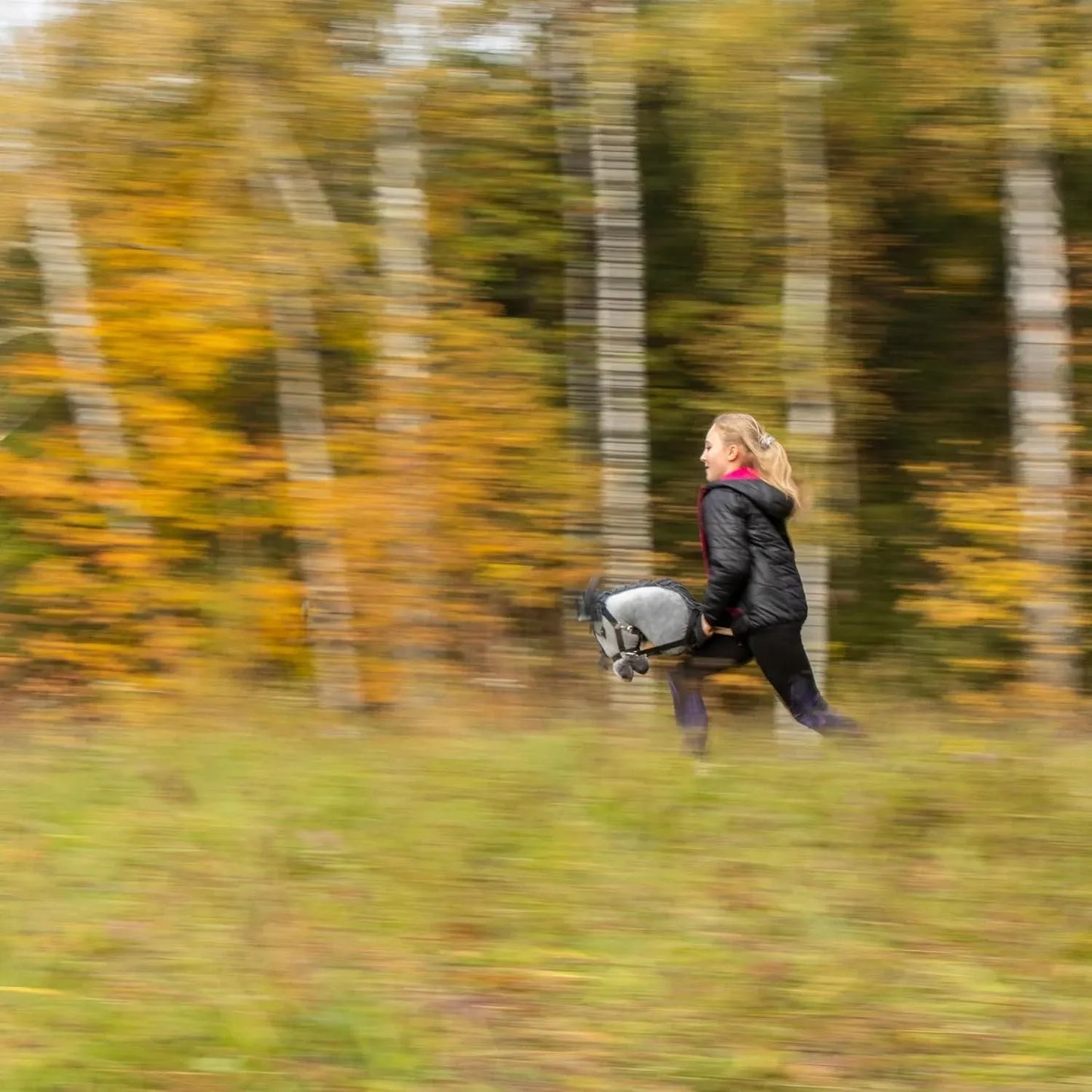 Pilkas A3 – lenkiškas „Hobby Horse“ – arkliukas ant lazdos – Skippi