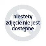 Sportinis vežimėlis Lionelo Annet PLUS Green Forest